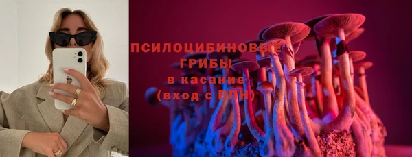 герыч Янаул