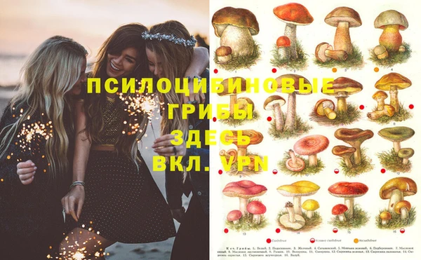герыч Янаул